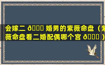 会嫁二 🐅 婚男的紫薇命盘（紫薇命盘看二婚配偶哪个宫 🍀 ）
